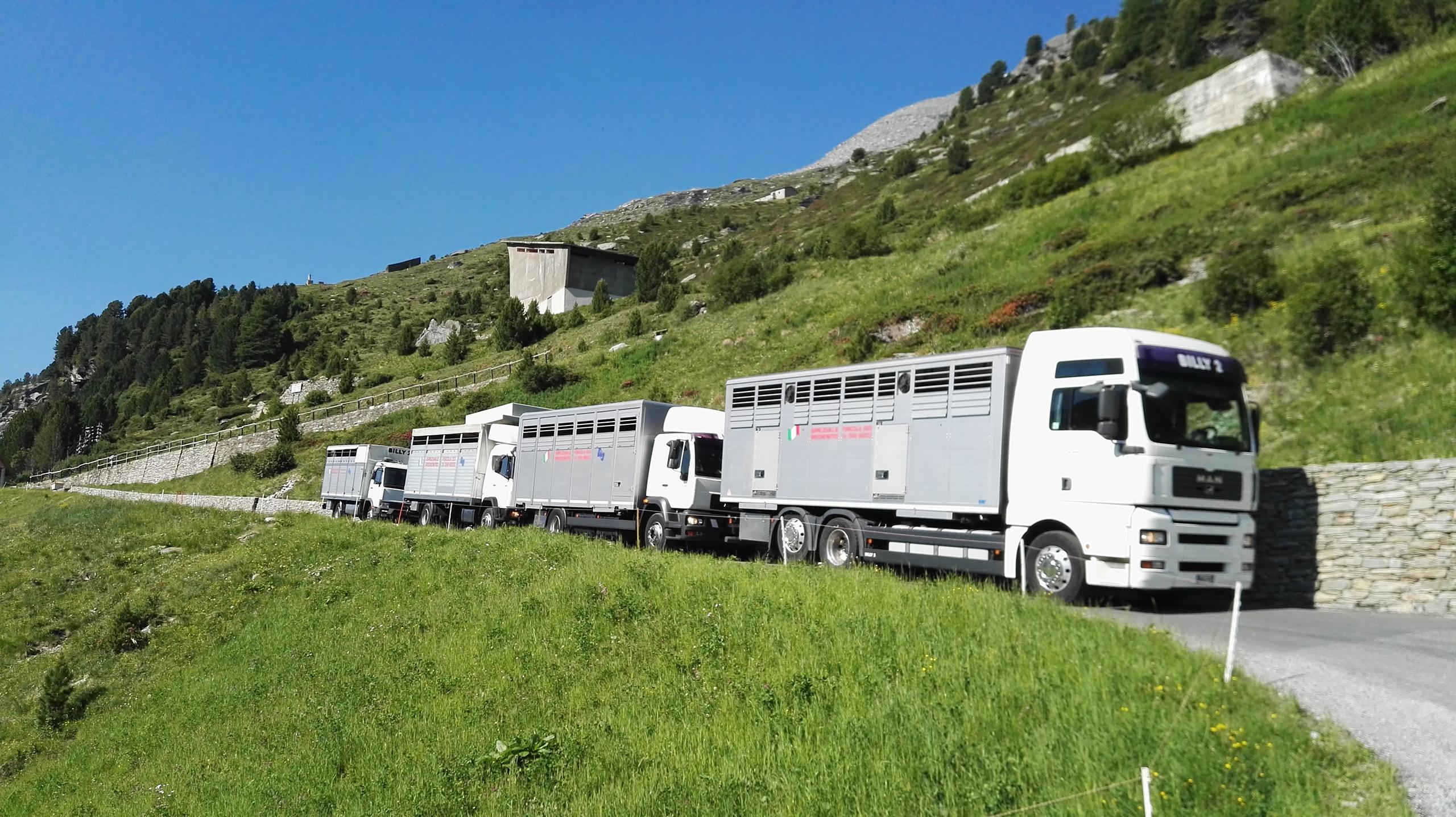 speziale autotrasporti parco mezzi strada