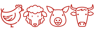 trasporto animnali icona